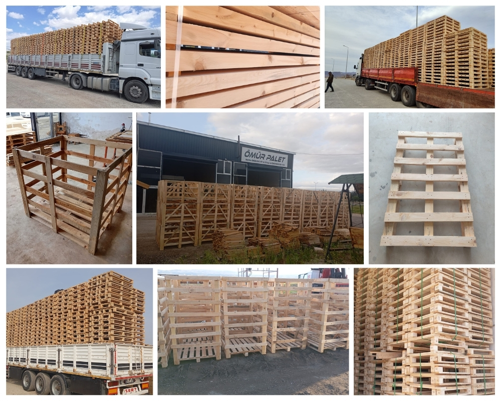 Den Helder Houten Kisten, Europallets Groothandel Kopen